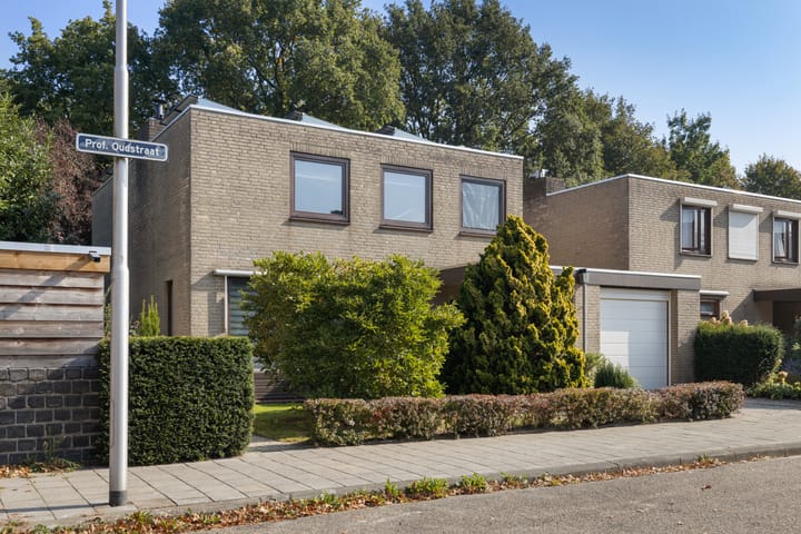 Foto 28 van Professor Oudstraat 2