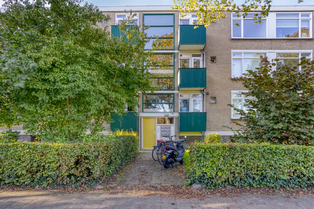 Photo 7 of Terborchlaan 125