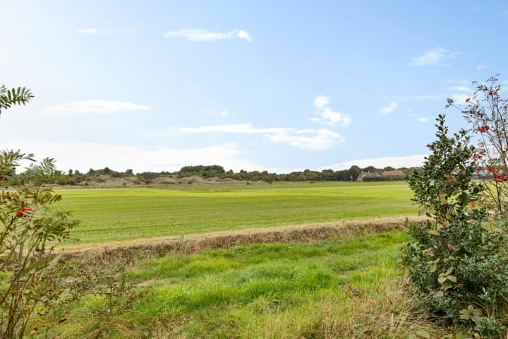 Foto 25 van Rijspolder 116