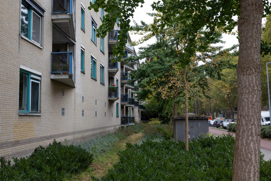 Etienne de Bouterstraat 43