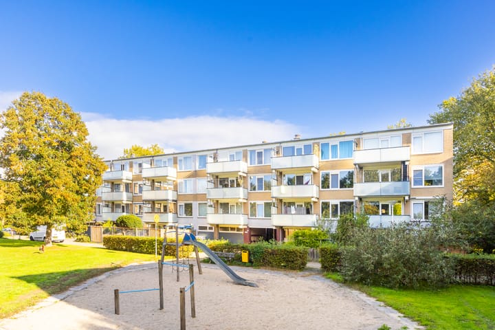 Stereoplein 24 main image