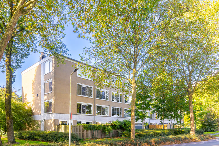 Foto 36 van Stereoplein 24