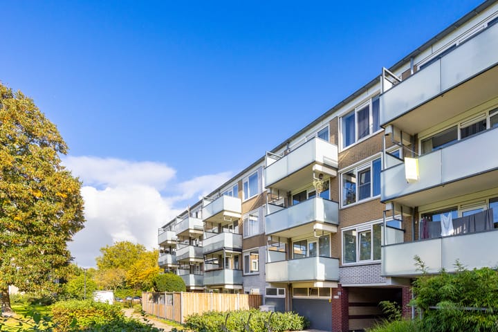 Foto 38 van Stereoplein 24