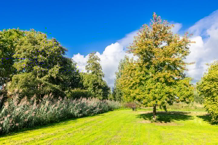 Foto 46 van Stereoplein 24