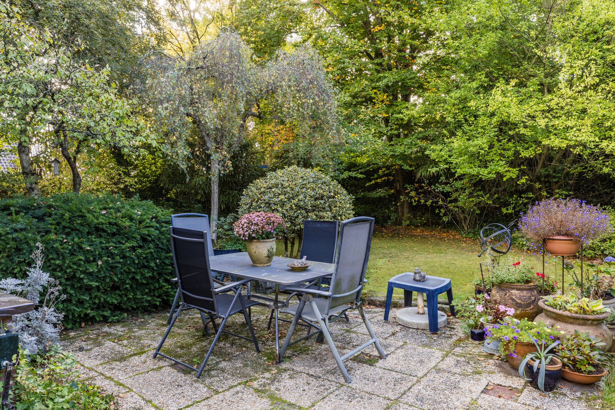 Foto 30 van Jan van Scorelpark 14