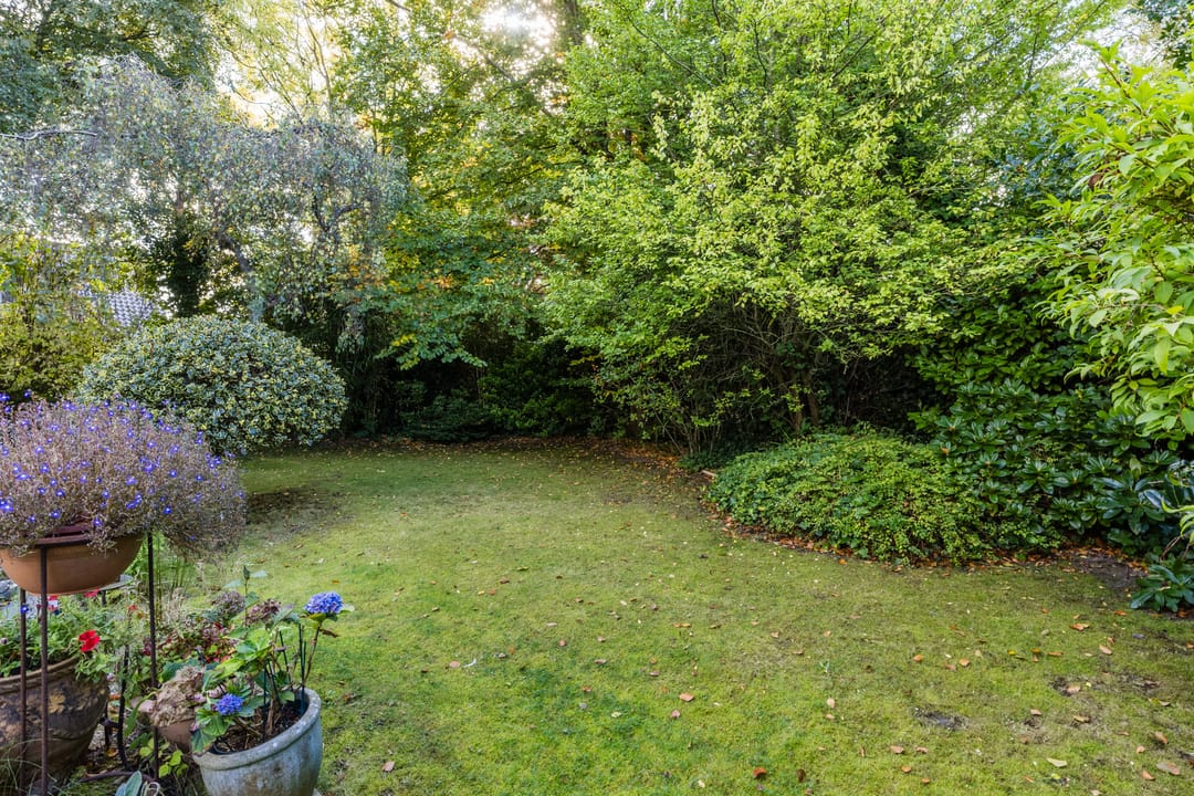 Foto 31 van Jan van Scorelpark 14