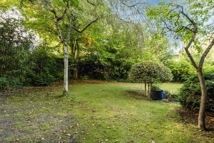 Foto 34 van Jan van Scorelpark 14