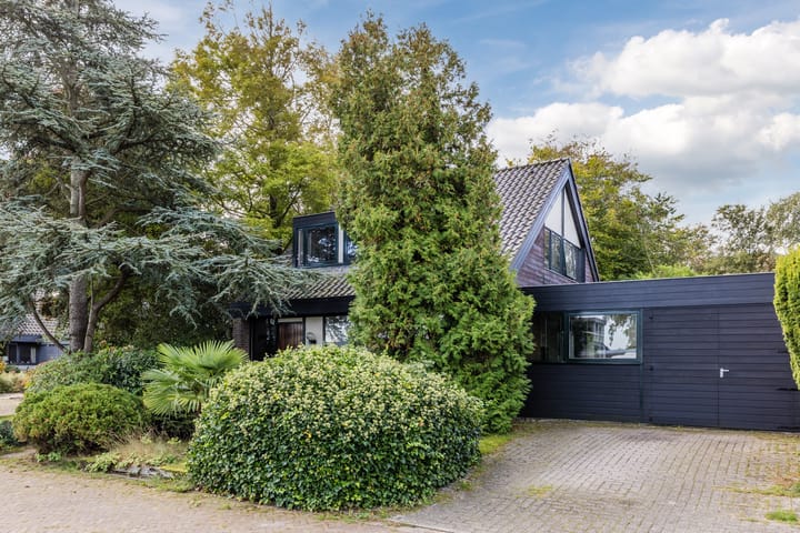 Foto 35 van Jan van Scorelpark 14