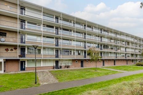 Hertogenlaan thumbnail