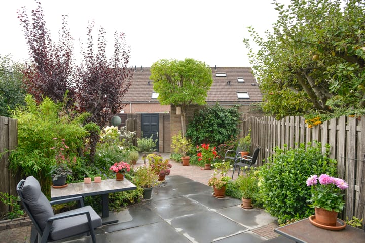 Foto 23 van Karekiet 6