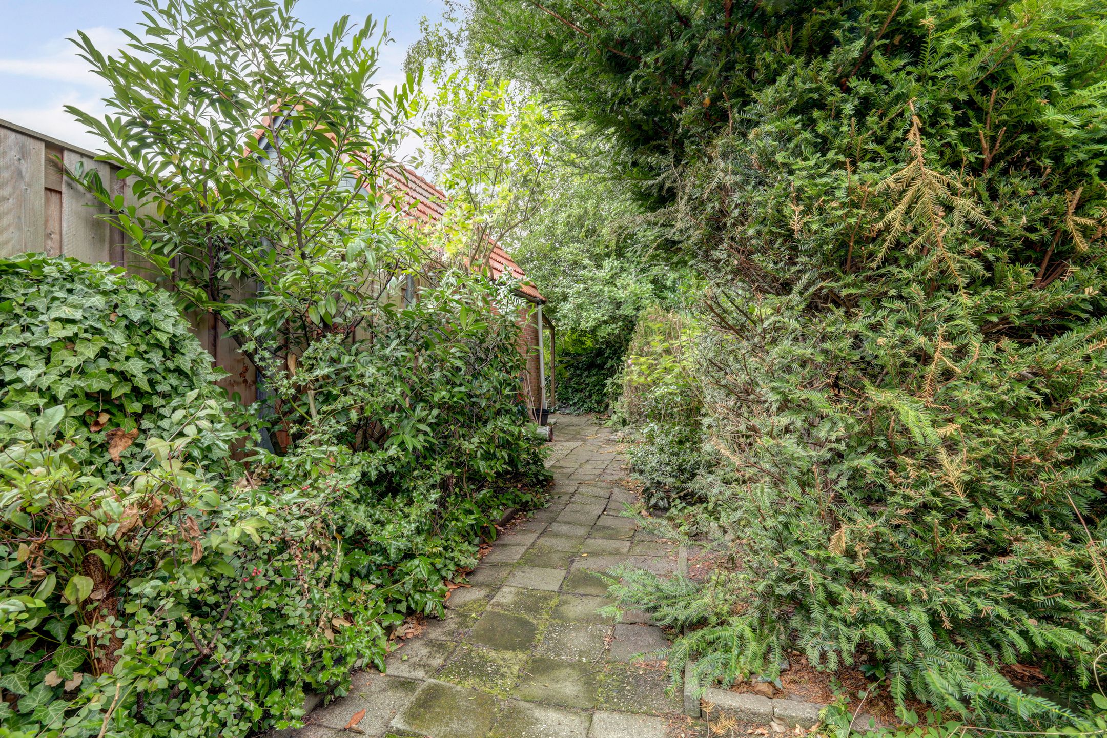 Foto 30 van Plataanlaan 46