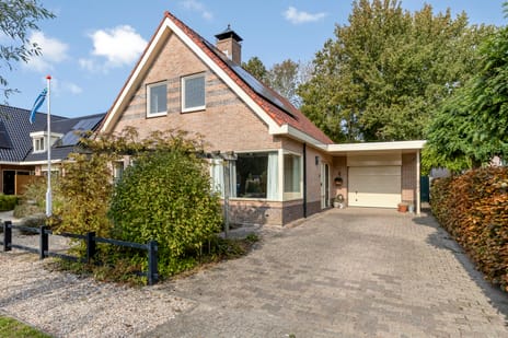 undefined main image