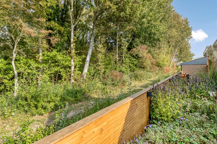 Foto 42 van Knotwilgendreef 17