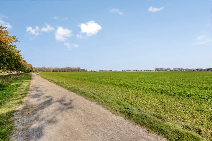 Foto 47 van Knotwilgendreef 17