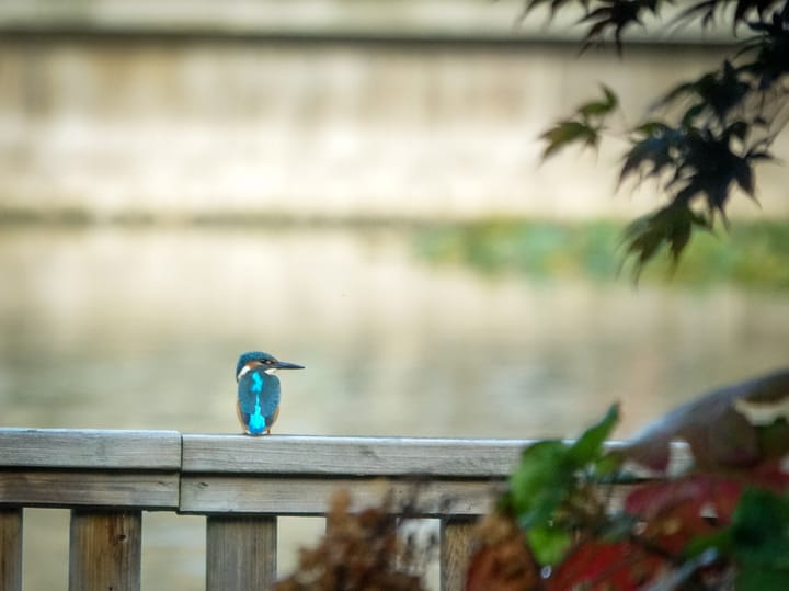 Foto 2 van Verhulststraat 84