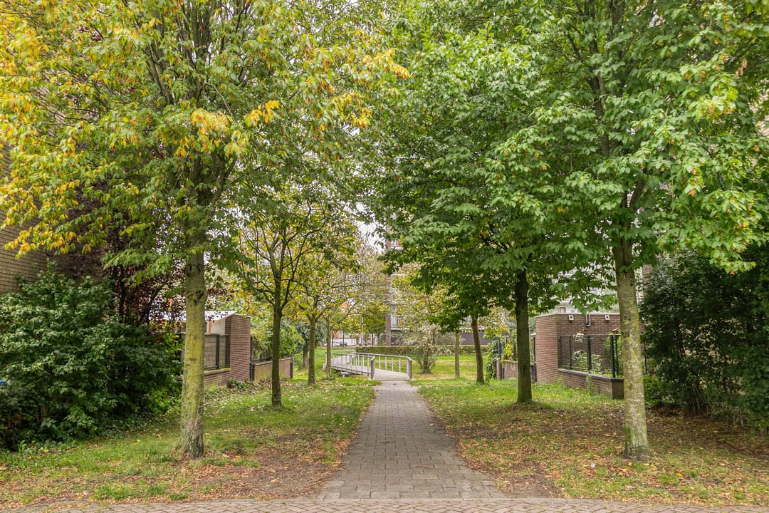 Foto 41 van Verhulststraat 84