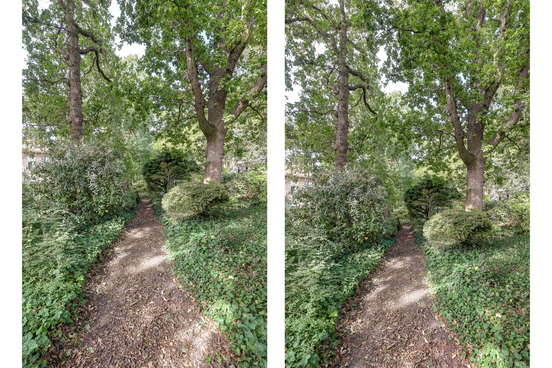 Foto 66 van Julianalaan 7