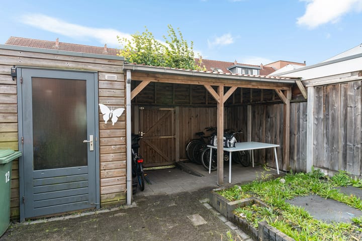 Foto 2 van Waterjuffer 12