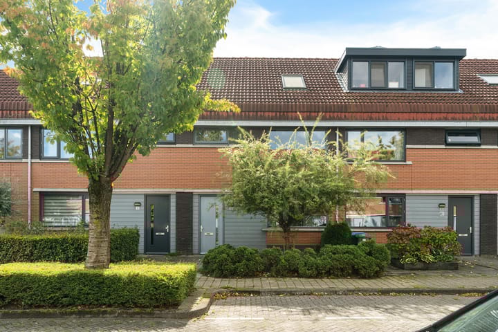 Foto 1 van Waterjuffer 12