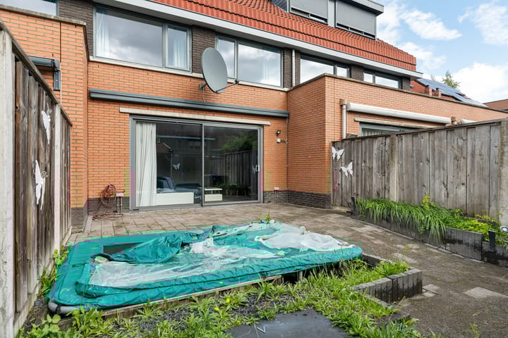 Foto 29 van Waterjuffer 12