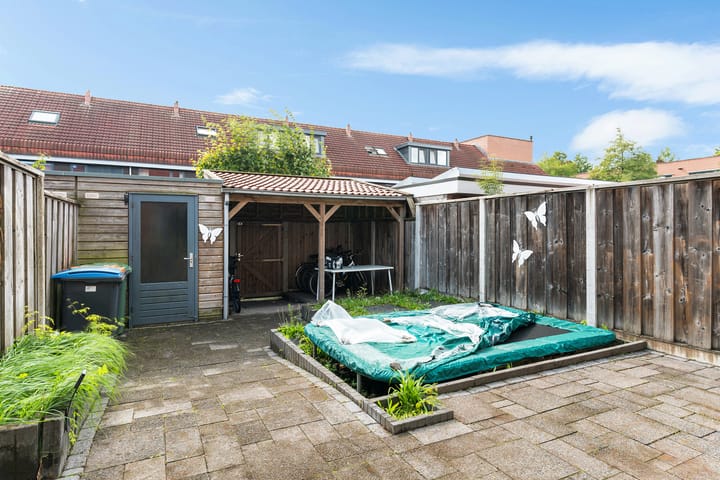 Foto 31 van Waterjuffer 12