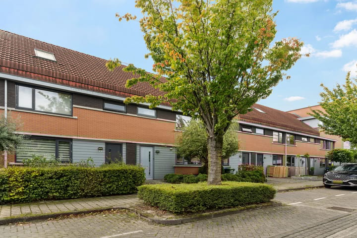 Foto 36 van Waterjuffer 12