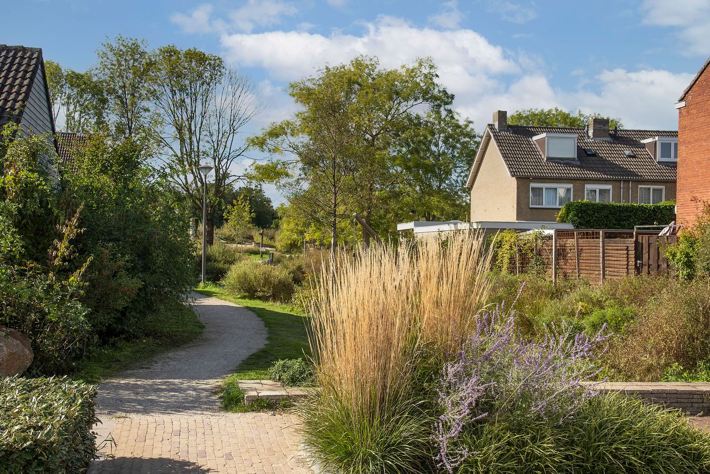 Foto 29 van Dorus Rijkersstraat 9