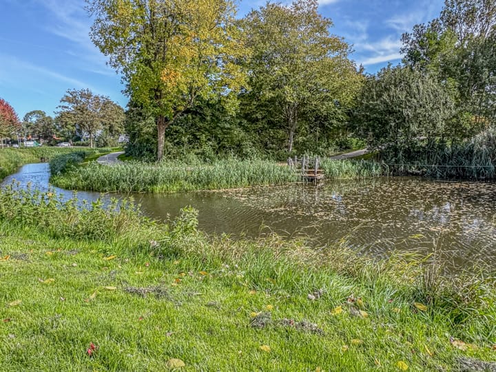 Foto 52 van Van der Hoevensstraat 43