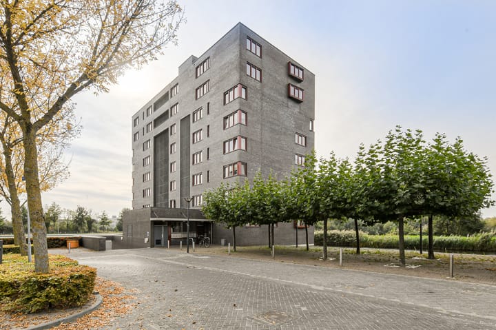 Foto 6 van Waterweegbree 147