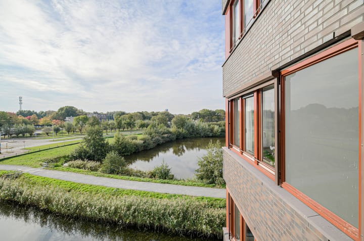 Foto 20 van Waterweegbree 147