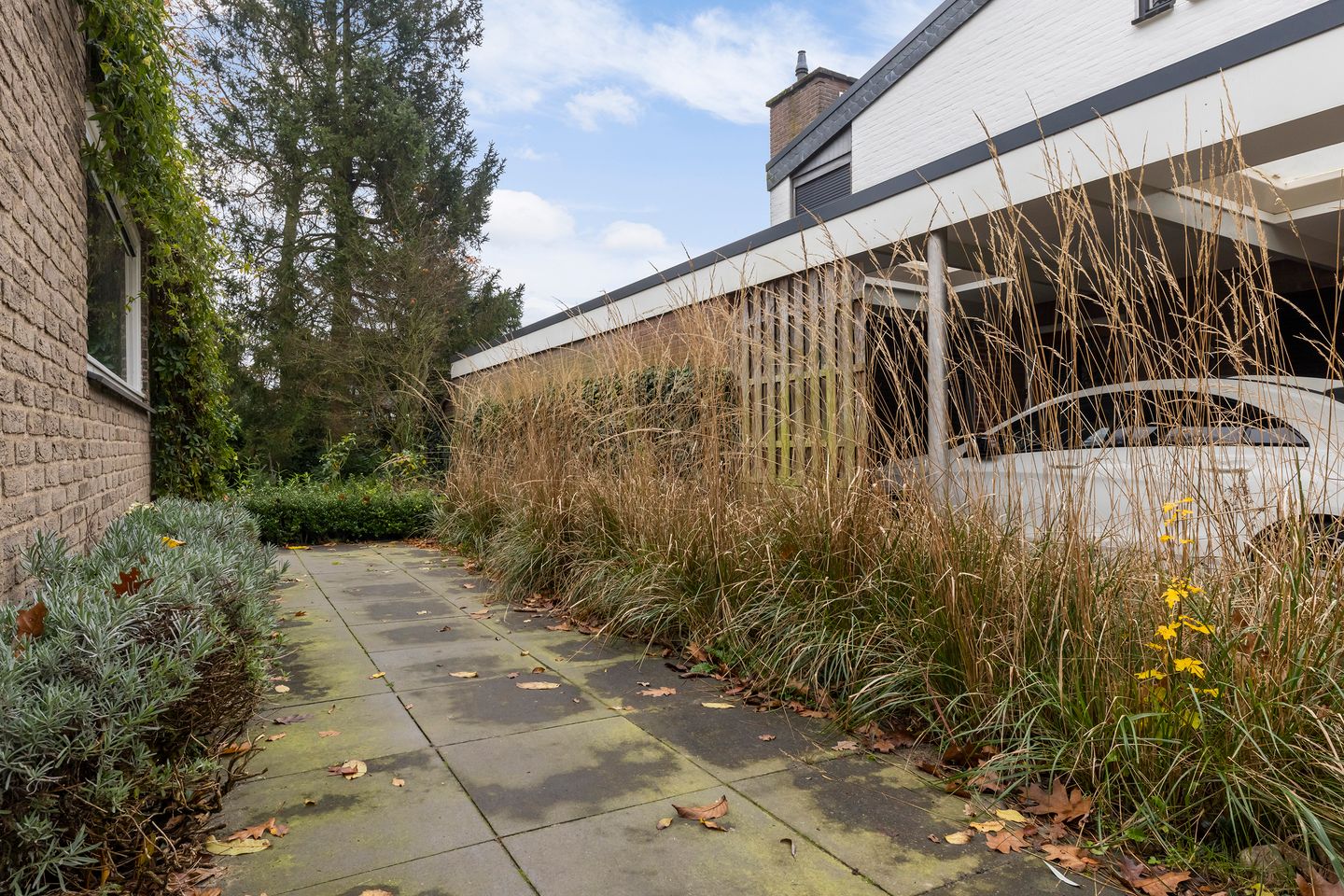 Foto 49 van Haartsestraat 78