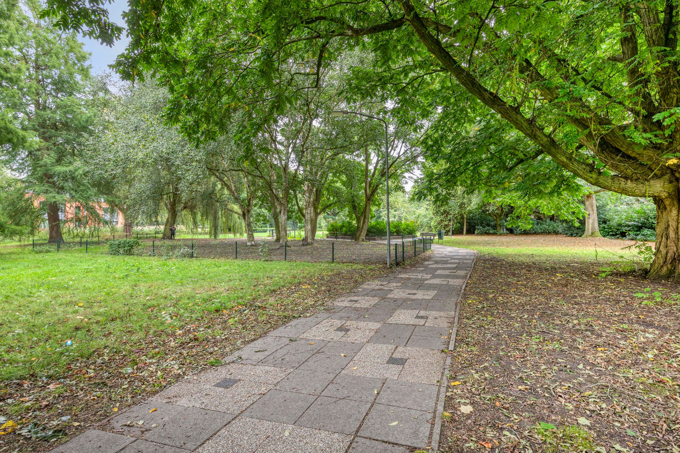 Foto 51 van Ruysdaelstraat 31