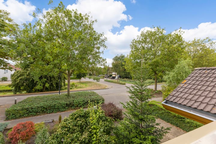 Foto 36 van Den Dries 23