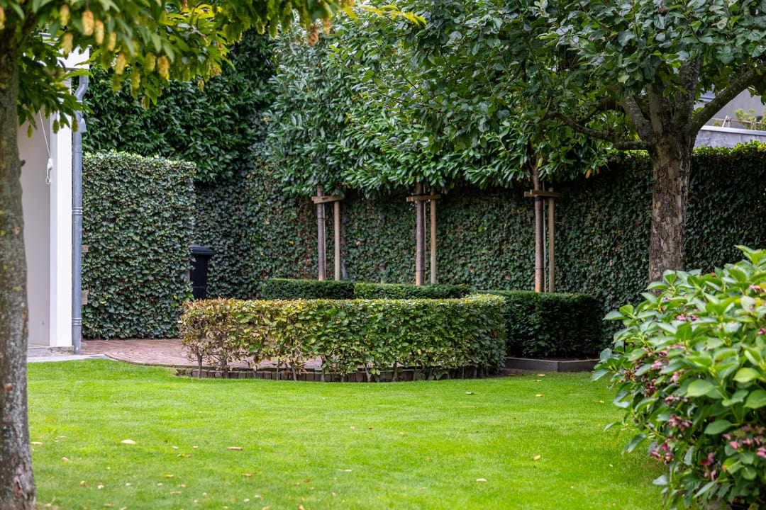 Foto 53 van Veenhuisweg 57