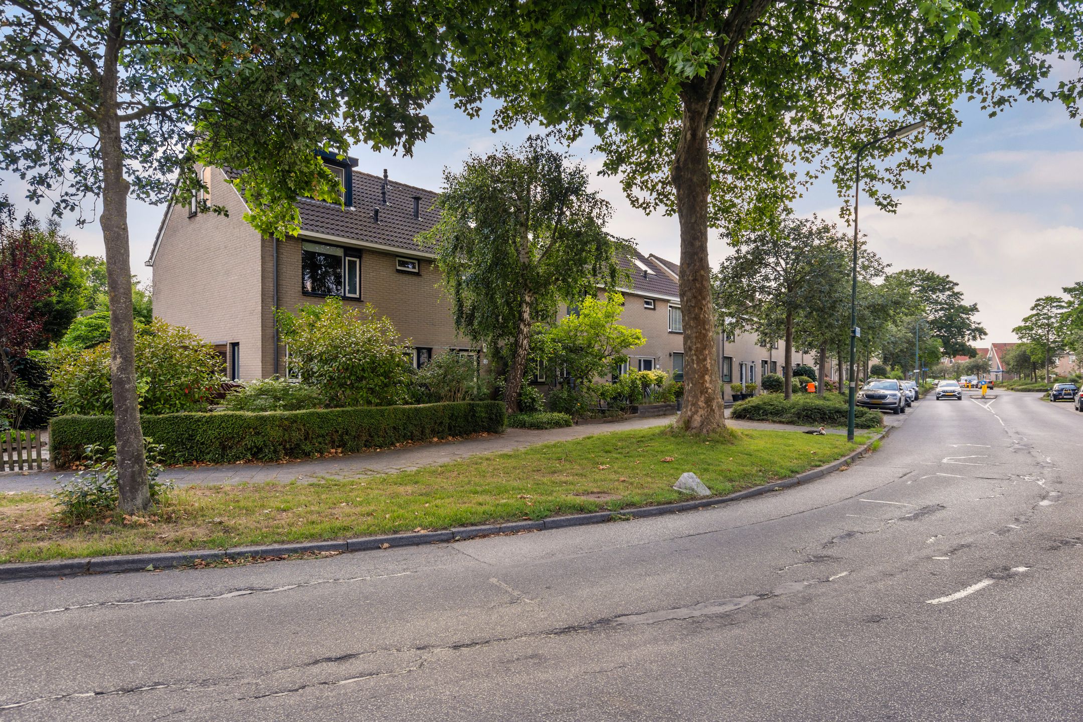 Foto 45 van Weidebloemenlaan 101