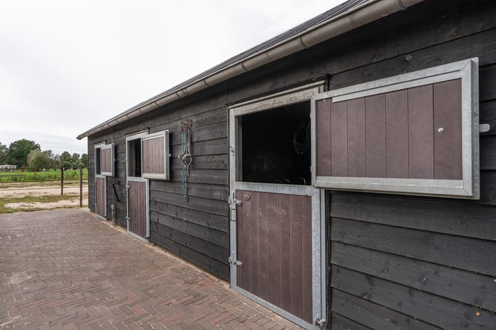 Photo 29 of Zijweg Dungen 12