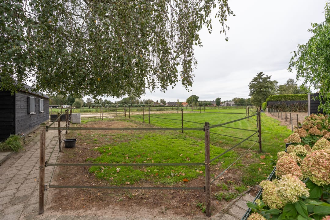 Foto 31 van Zijweg Dungen 12