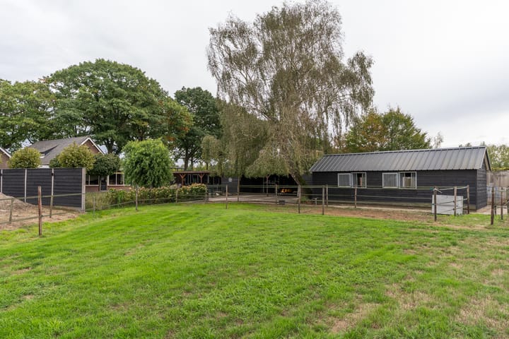 Photo 30 of Zijweg Dungen 12