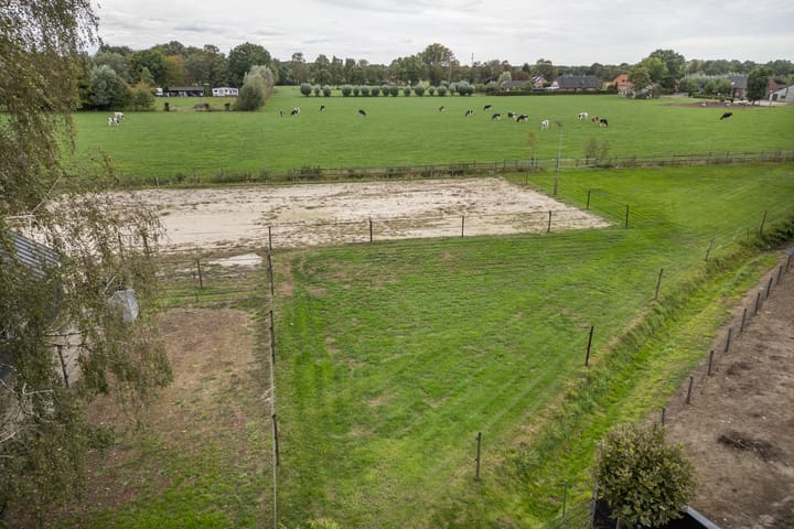 Photo 33 of Zijweg Dungen 12