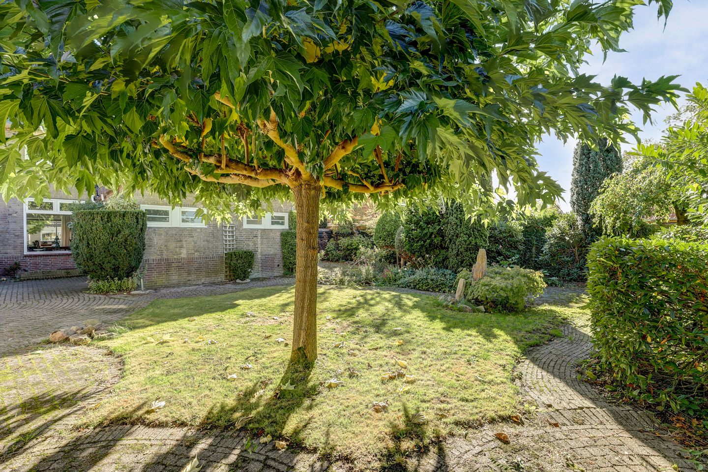 Photo 44 of Hertog van Saxenlaan 11