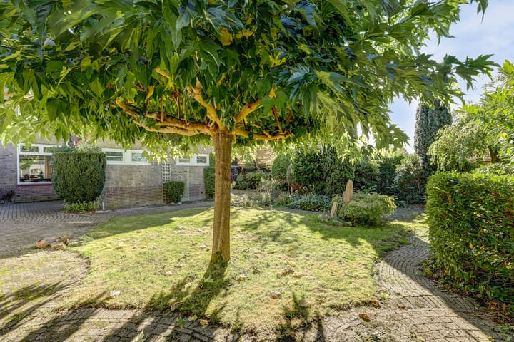 Photo 44 of Hertog van Saxenlaan 11