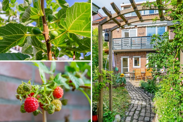 Foto 27 van Emmakade 33-HS