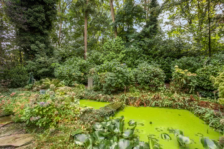 Foto 28 van Eifellaan 14