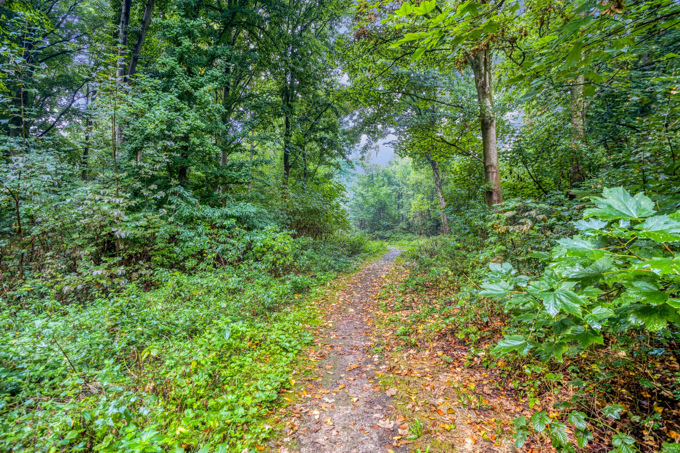 Foto 33 van Eifellaan 14