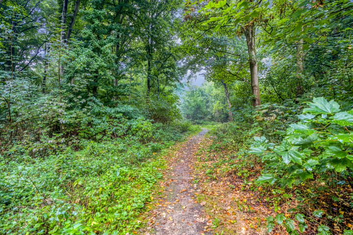 Foto 33 van Eifellaan 14