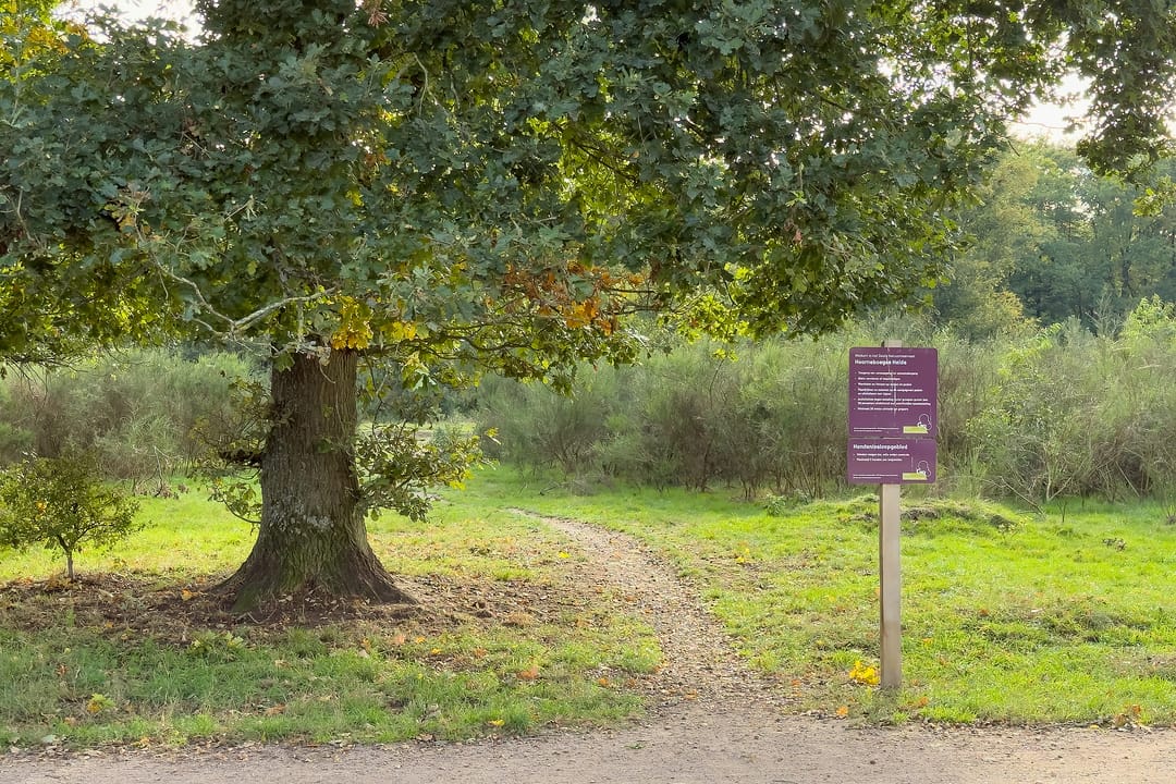 Foto 31 van Karel Doormanlaan 38