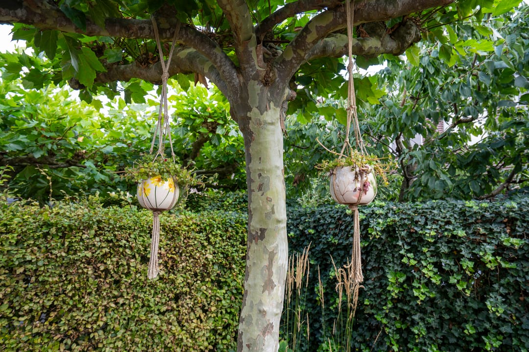 Photo 46 of Burgemeester van Mourikstraat 11