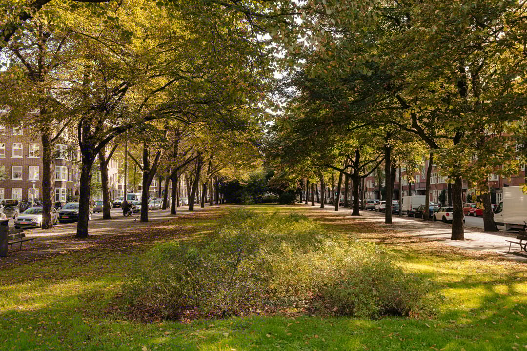 Foto 28 van Deurloostraat 121-2