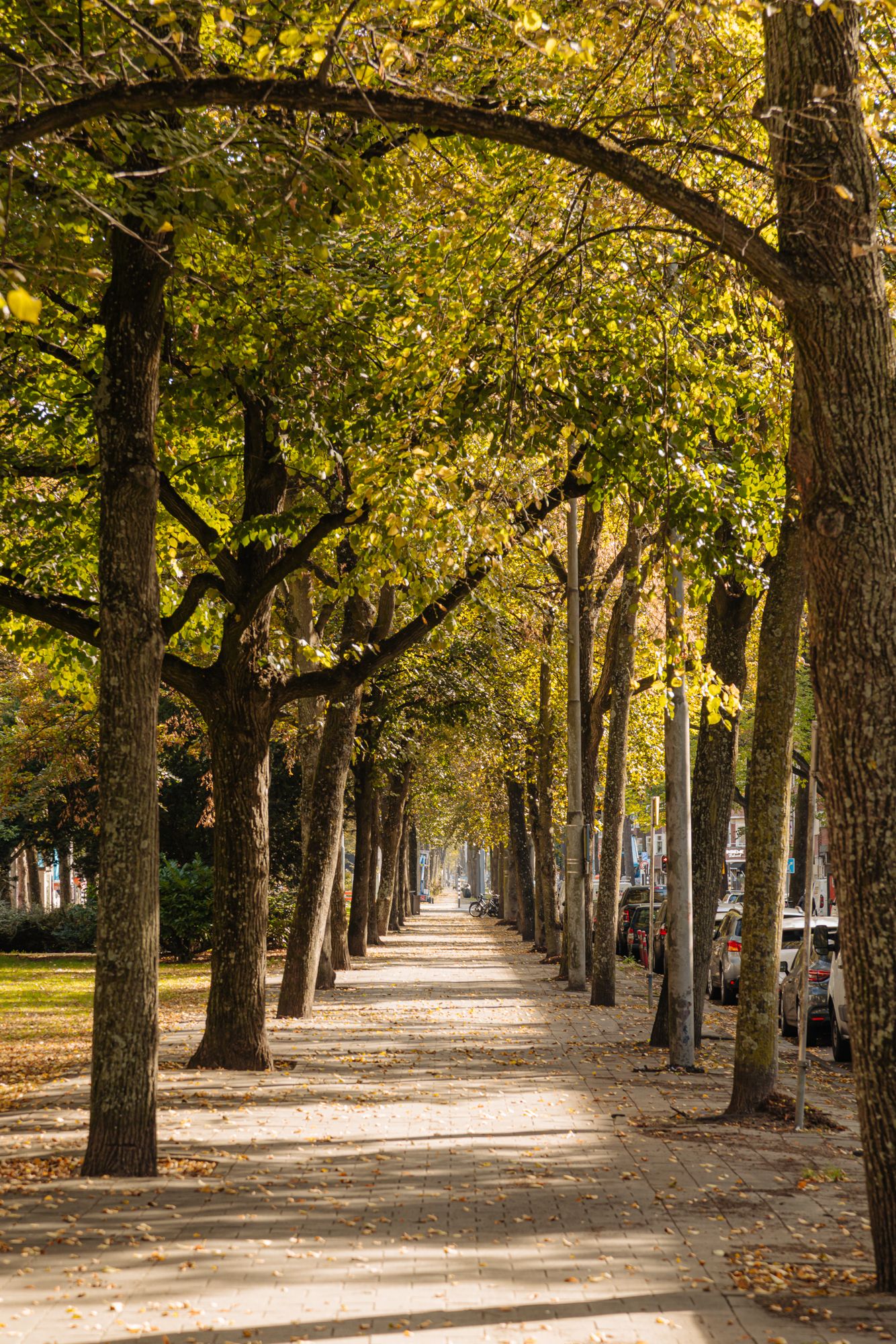 Foto 29 van Deurloostraat 121-2