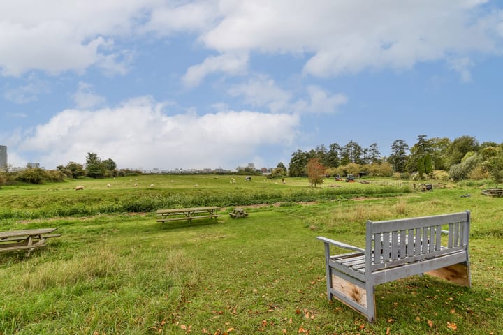 Foto 35 van Schellingwouderdijk 109